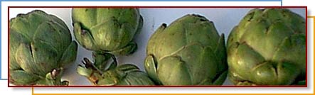 Photo of artichokes