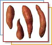 Photo of sweet potatoes