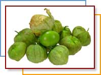 Photo of tomatillos