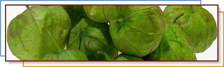 Photo of tomatillos