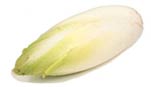 Photo of Endive lettuce variety