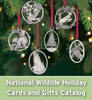 Shop the 2008 National Wildlife Holiday Catalog