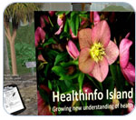 Screen shot of HealthInfo Island on Second Life