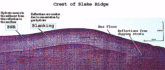 Seismic profile of the crest of Blake Ridge.