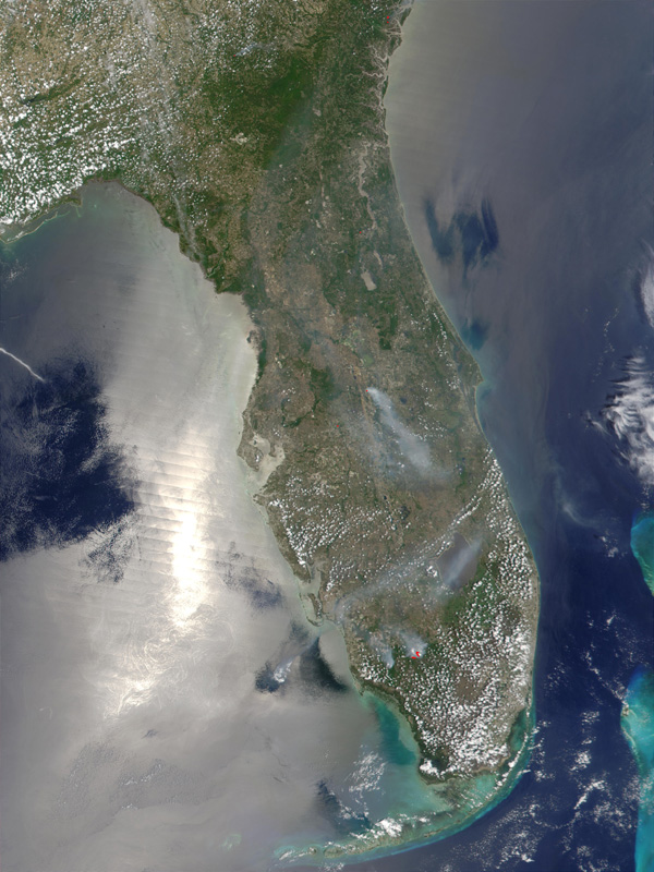 MODIS Web Image ID#1000203 - Scattered Fires in Florida