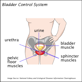 Bladder Control System