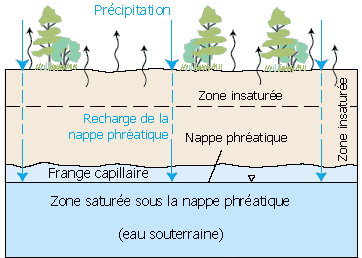 Diagram showing how precipitation seeps into the ground. 