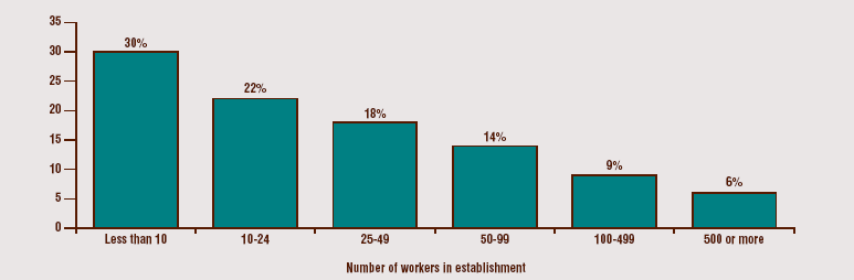 Bar chart: Number of workers in establishment: Less than 10: 30%; 10-24: 22%; 25-49: 18%; 50-99: 14%; 100-499: 9%; 500 or more: 6%
