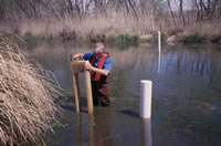 Passive-diffusion samples--peepers--are driven into a wetland to observe the geochemistry of the leachate plume's discharge area