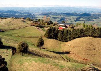 Waikato farm