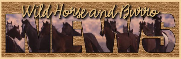 National Wild Horse and Burro Newsletter Logo