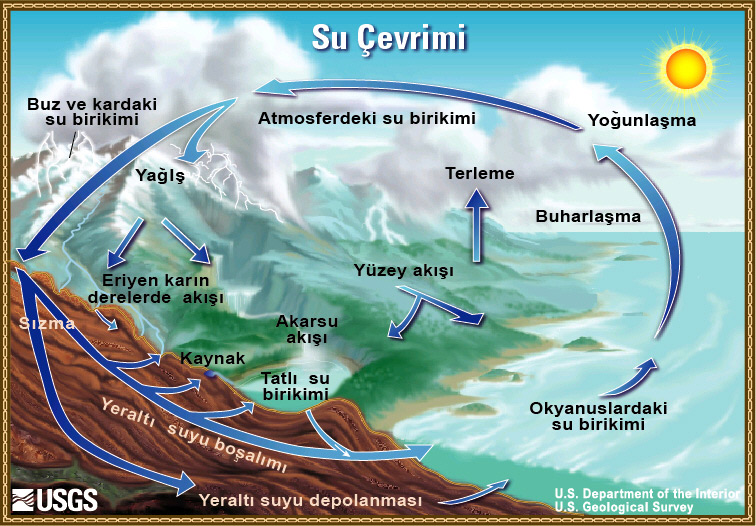 Su Çevrimi Diyagramı. 