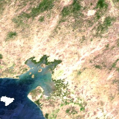 MODIS Image