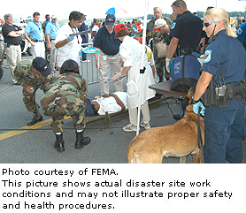 Photo courtesy of FEMA.  This picture shows actual disaster site work conditions and may not illustrate proper safety and health procedures.