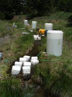 Field experiment designed to compare survival of trout fry (newly hatched fish) exposed to constant versus varying metal concentrations, High Ore Creek, Mont. Water stored in the streamside tanks was used to refresh plastic containers in the stream. Water in the tanks had high, medium, or low metal concentrations. The fourth tank contained metal-free water used as an experimental control