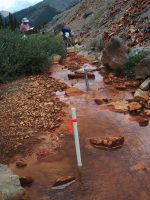 USGS scientists collecting water-quality samples from drive point wells along a 30-meter reach of Mineral Creek, Colo. The wells were located near pits along the streambed to characterize the quality of ground water entering the stream