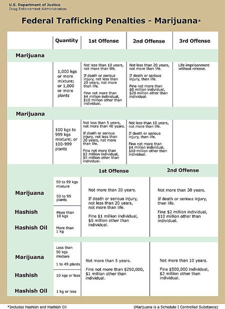 Federal Trafficking Penalties - Marijuana chart.