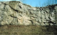 Outcrop of a fractured rock aquifer where fracture characteristics were measured