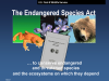 endangered species act