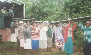 Members of the Mugirirwa Self-Help Group in Chuka carry pipe provided by the SSH Program
