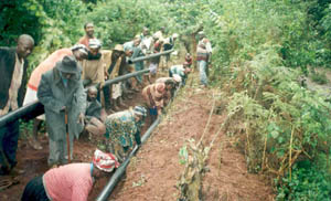 Members of the Mugirirwa Self-Help Group in Chuka hook up a final 1.5 km of pipe provided by the SSH Program