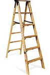 5-Step foldout ladder