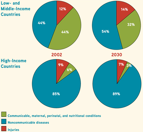 The increasing burden of chronic noncommunicable diseases: 2002 - 2030.