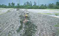 Tractor mixes ash into the underlying soil, Philippines