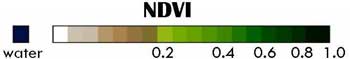 Aqua/MODIS Product