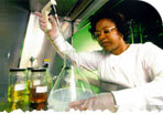 Woman testing microorganisms for converting soybean oil.