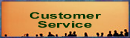 Link to Customer Services Area