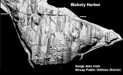 Blakely Harbor lidar image