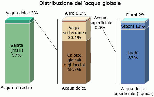 Diagramma a barre della distribuzione dell’acqua sulla Terra. 