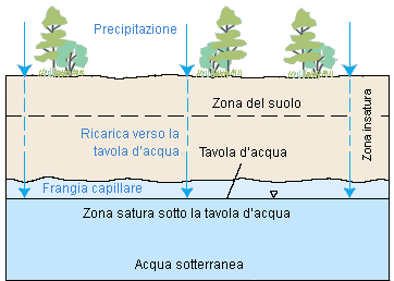 Diagramma dell’infiltrazione della precipitazione nel terreno. 