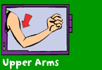 Upper arms