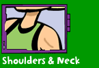 Shoulders and neck
