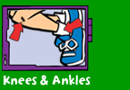 Knees and ankles
