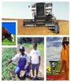 Agricultural image collage