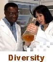 Diversity Picture