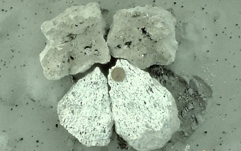 Close view of pumice erupted from Mount Pinatube, Philippines, in 1991