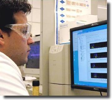 Picture of researcher analyzing microsatellite data on an automated DNA sequencer