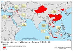 a world map of human avian influenza cases 2003-2006 indicated in red for each country and yellow dialogue balloons give tracking information on the H5N1 virus in each area. Photo: WHO.