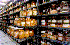 Plastic seed jars on shelves of a movable carriage.