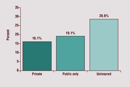 Private, 16.1%; Public only, 19.1%; Uninsured, 28.6%.