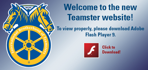 Click to download the Adobe Flash Player