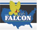 Operation FALCON Logo