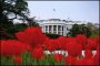 Spring at the White House