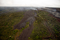 Pahoehoe flows on the west side of the currently active flow field followed an old `a`a flow part-way down the pali. The pahoehoe flows are the gray-colored flows on top of the brown `a`a crossing through the center of the photo. Activity then backed up-slope where trees can be seen burning. 
