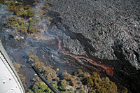 The breakouts near the base of the pali were feeding several small channelized `a`a flows, like the one shown here.  
