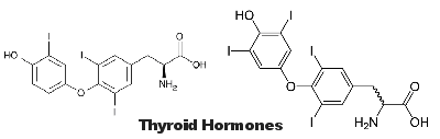 Thyroid Hormones chemical structure